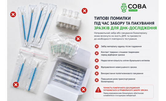 ДНК-тест для тварини: 5 помилок під час забору зразка, які можуть зіпсувати результат